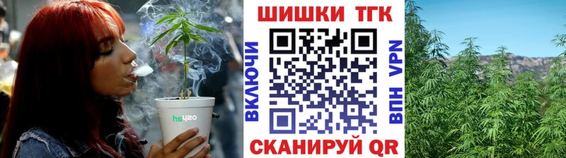 Марихуана конопля Цоци-Юрт